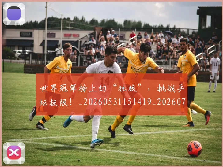 世界冠军榜上的“独狼”，挑战乒坛极限！_20260531151419_20260702175524